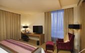 Туры в отель Yashail Hotel Haridwar