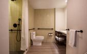 Туры в отель Renaissance New York Flushing Hotel at Tangram