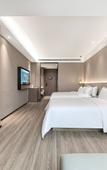 Туры в отель Starway Hotel (Dazhou Luofu Plaza)