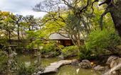 Туры в отель Fufu Kyoto