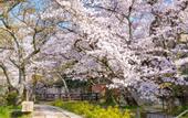 Туры в отель Fufu Kyoto