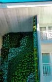 Туры в отель Club Samal Resorts Development Inc