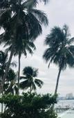 Туры в отель Club Samal Resorts Development Inc