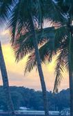 Туры в отель Club Samal Resorts Development Inc