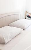 Туры в отель Athos Guesthouse