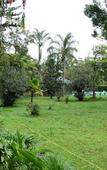 Туры в отель Meru View Lodge