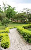 Туры в отель Meru View Lodge