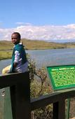 Туры в отель Meru View Lodge