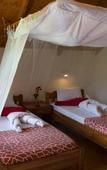 Туры в отель Meru View Lodge