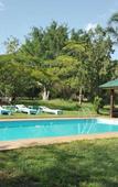 Туры в отель Meru View Lodge