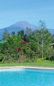 Туры в отель Meru View Lodge