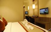 Туры в отель HOTEL THE ROYAL VISTA