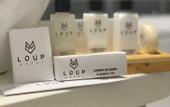 Туры в отель Hotel Loup