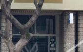 Туры в отель Hotel Loup