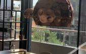 Туры в отель Hotel Loup