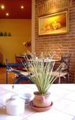 Туры в отель El Arribo Hotel