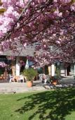 Туры в отель Hotel am Sachsengang
