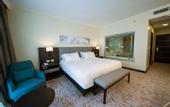 Туры в отель Hilton Garden Inn Santiago del Estero