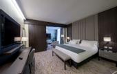 Туры в отель Hilton Garden Inn Santiago del Estero