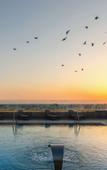 Туры в отель Hotel Sfax Palace by Plaza Hotels & Resorts