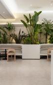 Туры в отель Ananas Polaris Hotel (Tongde Kunming Plaza Beichen Fortune Centre)