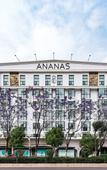 Туры в отель Ananas Polaris Hotel (Tongde Kunming Plaza Beichen Fortune Centre)