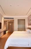 Туры в отель Vienna 3 Best Hotel (Shenzhen Qianhai Bao'an Center Happy Harbor Ferris Wheel)