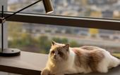 Туры в отель Home2 Suites by Hilton Guiyang Nanming Jiyuan