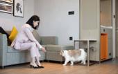 Туры в отель Home2 Suites by Hilton Guiyang Nanming Jiyuan