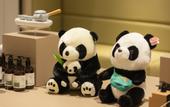 Туры в отель JI Hotel (Chengdu Tianfu International Airport)