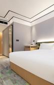 Туры в отель Hilton Garden Inn Changsha Yuelu