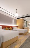 Туры в отель Hilton Garden Inn Changsha Yuelu