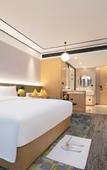 Туры в отель Hilton Garden Inn Changsha Yuelu