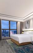 Туры в отель Hilton Garden Inn Changsha Yuelu