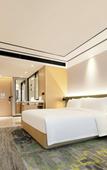 Туры в отель Hilton Garden Inn Changsha Yuelu