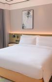 Туры в отель Hilton Garden Inn Changsha Yuelu