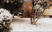 Туры в отель Anastazia Luxury Suites & Rooms