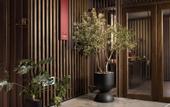 Туры в отель Qiuzhu Hotel