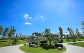 Туры в отель CENTRAL GREEN TENNIS HOTEL