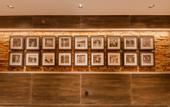 Туры в отель CENTRAL GREEN TENNIS HOTEL