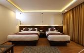 Туры в отель Apex Business Hotel - Tribhuvan International Airport, Kathmandu