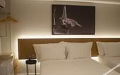 Туры в отель Tintto Hotel