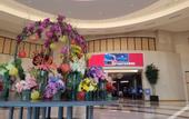 Туры в отель Hyatt Regency JFK Airport at Resorts World New York