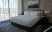 Туры в отель Hyatt Regency JFK Airport at Resorts World New York