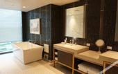 Туры в отель Hyatt Regency JFK Airport at Resorts World New York
