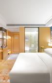 Туры в отель Vienna International Hotel (Anqing Wuyue Plaza)