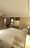 Туры в отель Vienna International Hotel (Anqing Wuyue Plaza)