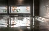 Туры в отель Super Hotel Hiroshima Natural Hot Springs Yagenboridori