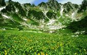 Туры в отель BYAKU Narai