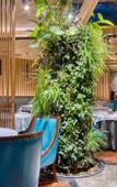 Туры в отель Lin'an SSAW Boutique Hotel